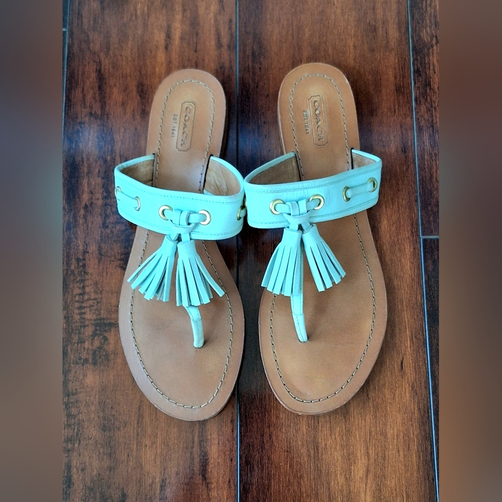 Coach Sheena Women's Mint Green Leather Tassel Flip Flops Sandals 8.5